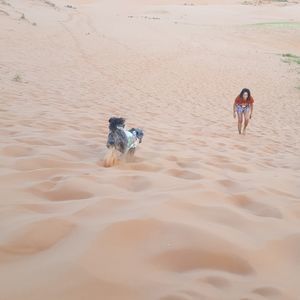 Meet your Posher, Davina